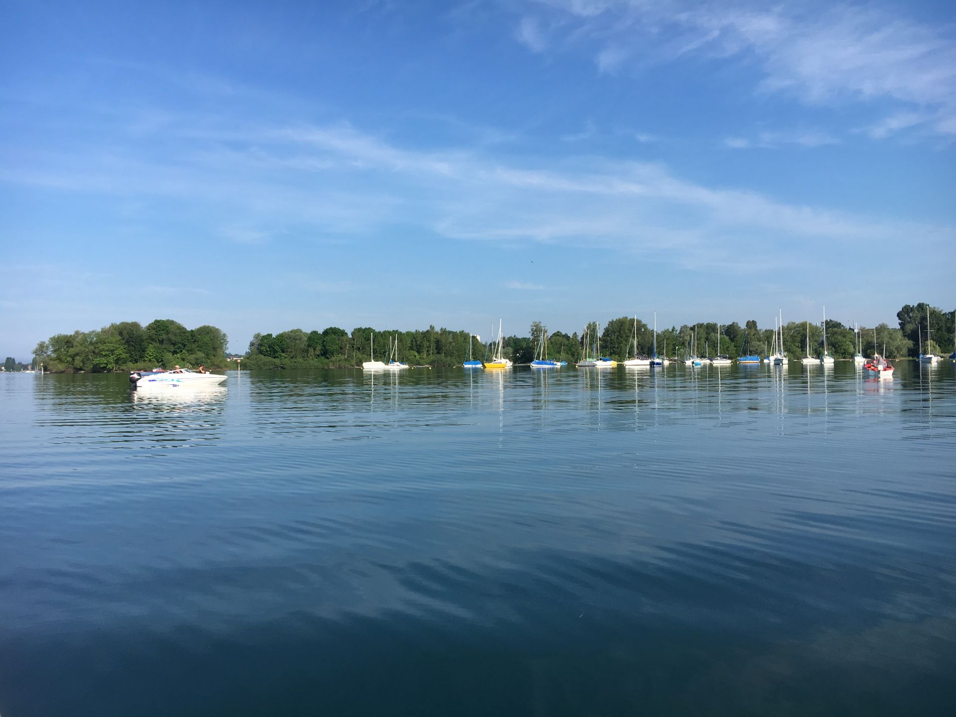Vereinsaktivität am Gewässer