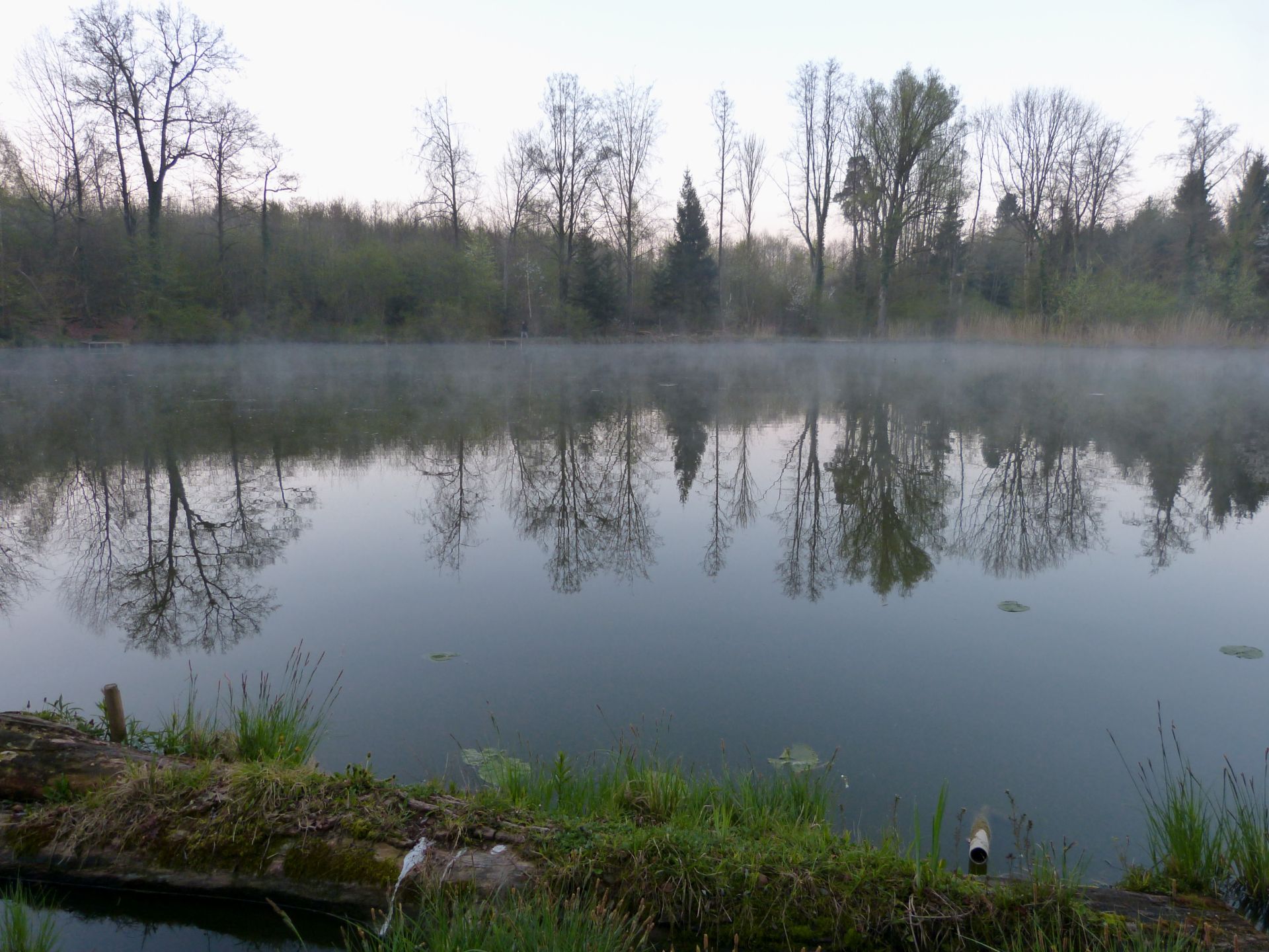Angelsportfreunde am Wasser